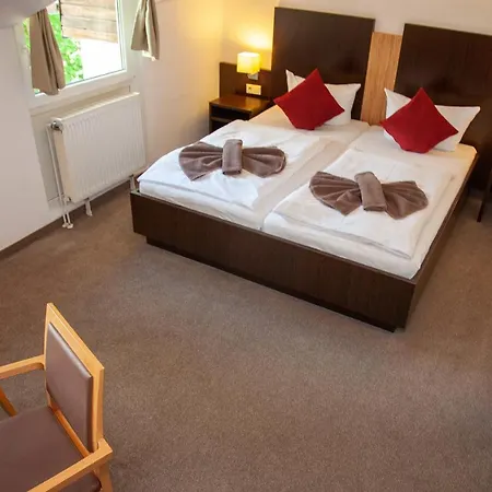 Hotel Seehotel Zum Löwen