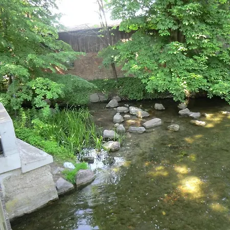 Seehotel Zum Löwen Hotel Strasen