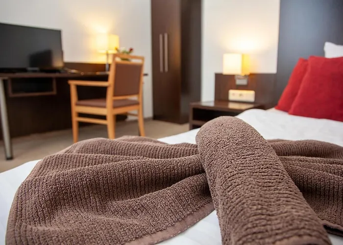 Seehotel Zum Loewen Strasen